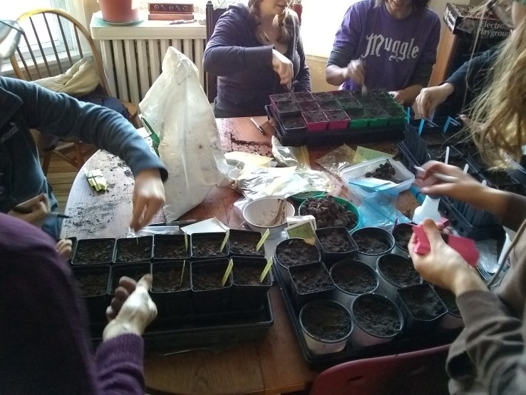 signal-2019-01-19-234750